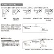 画像11: シーリングファン シーリングファンライト LED 照明 ファン 3ブレード 3枚羽根 木目 調光 リモコン付き 天井照明 シーリングライト 北欧 ###ファンFD-423RC### (11)